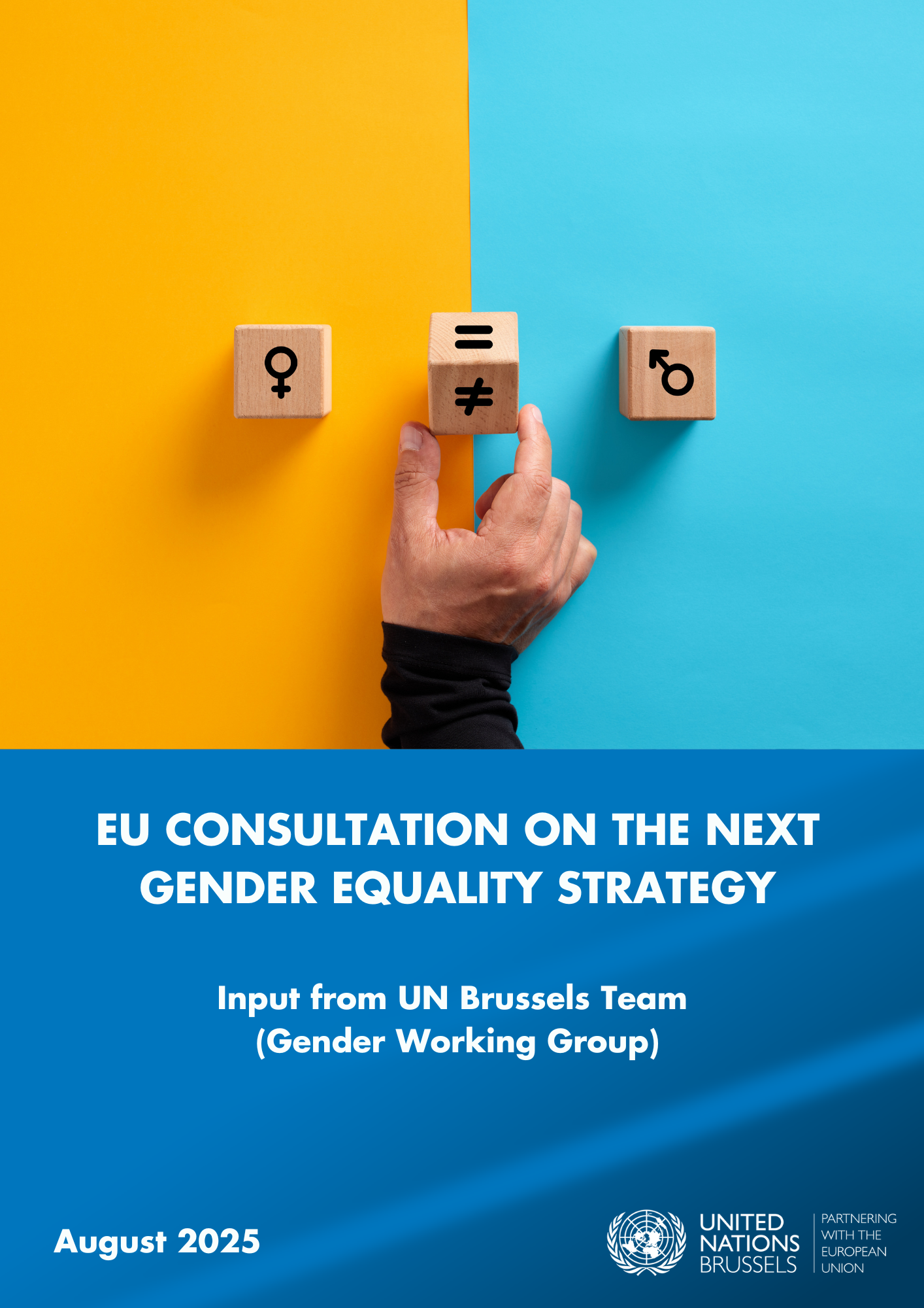 EU CONSULTATION ON THE NEXT GENDER EQUALITY STRATEGY | OHCHR